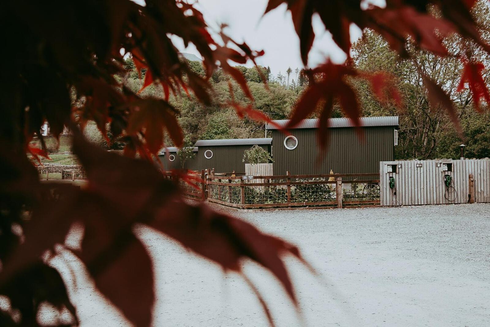 The Wilson Arms Bed & Breakfast Torver Oda fotoğraf